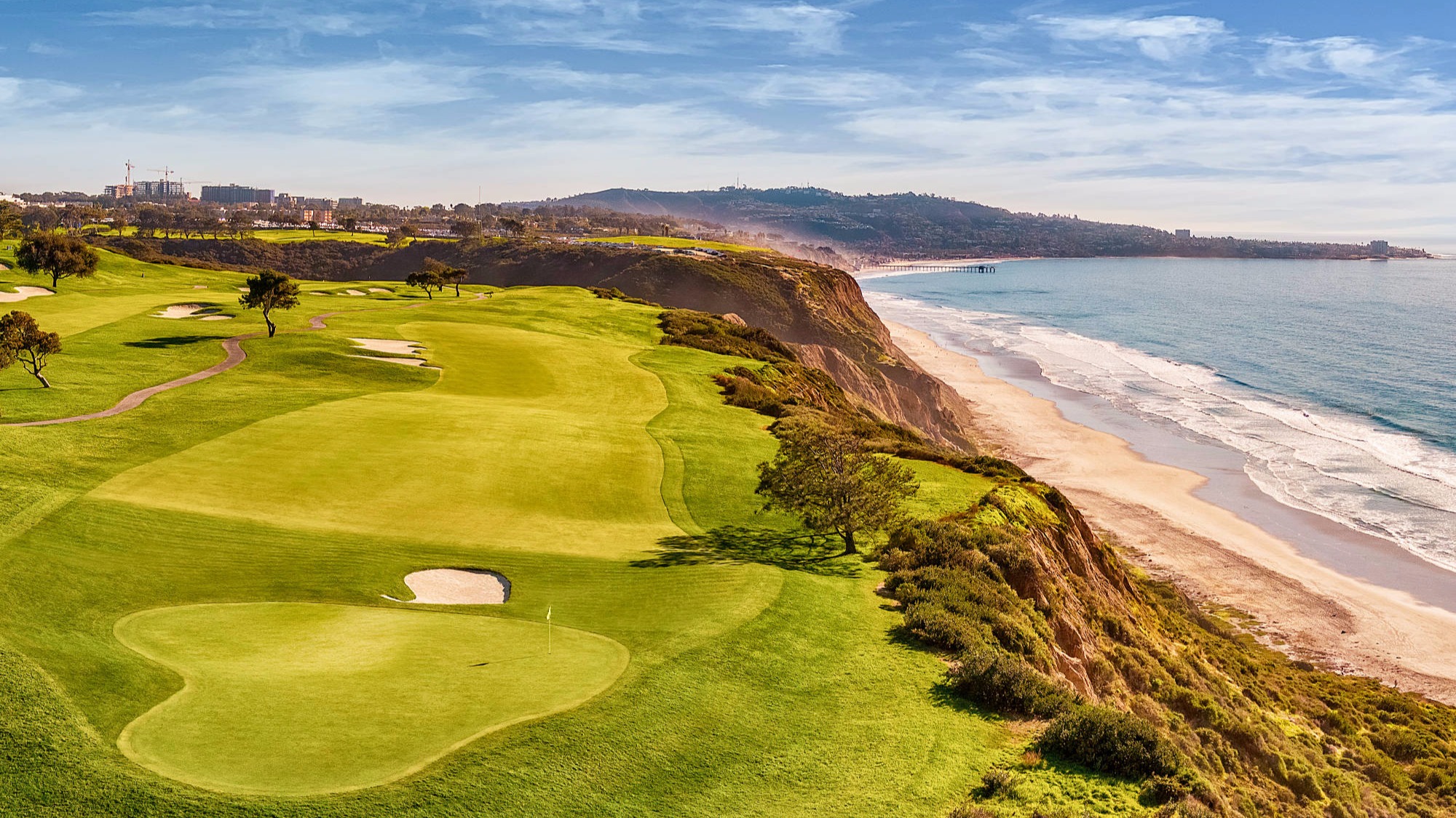 torrey-pines-south-4-aerial-72ppi-2000x1333.jpeg